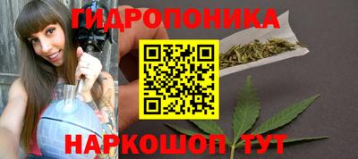 соль ск Пугачёв