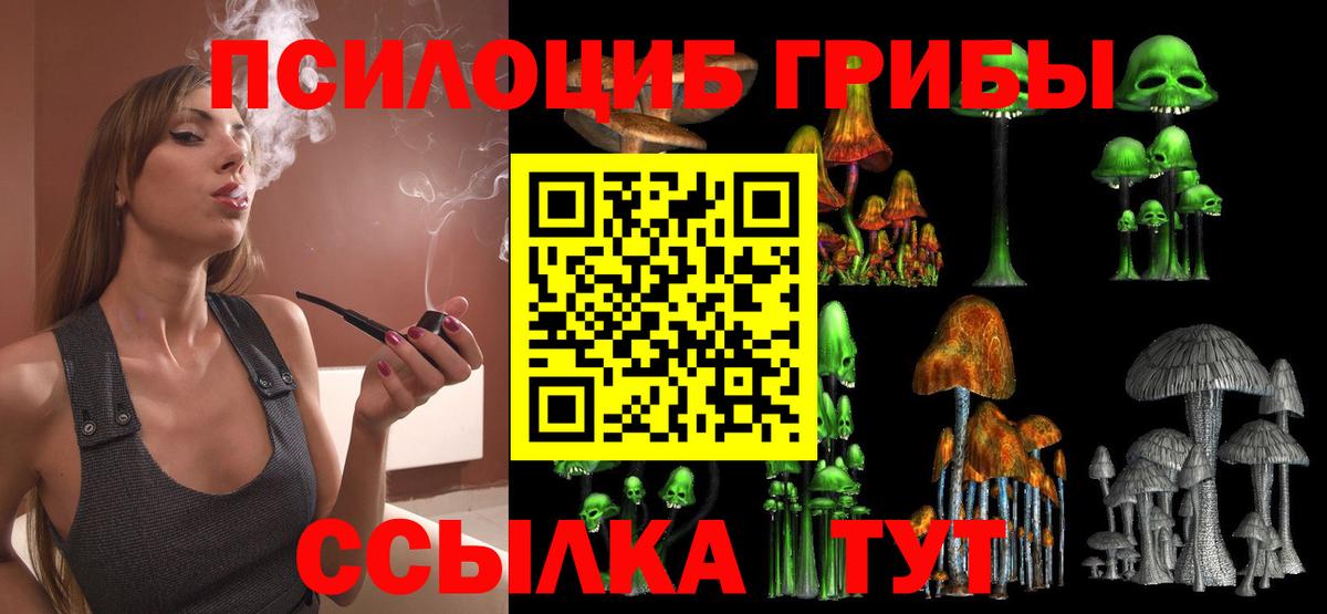 Псилоцибиновые грибы ЛСД  Вход с VPN  Сланцы 